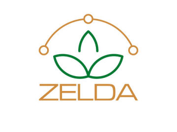 Zelda